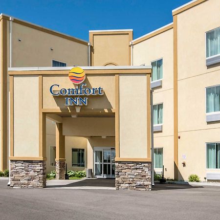 Comfort Inn Apalachin - Binghamton W Route 17 Exterior photo