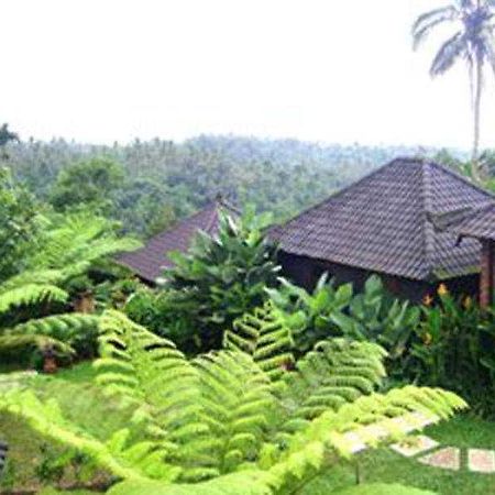 Bali Mountain Retreat Hotel Jatiluwih Exterior photo