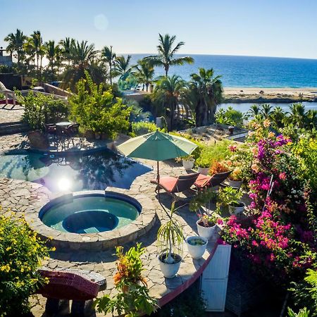 Los Colibris Casitas Todos Santos Exterior photo