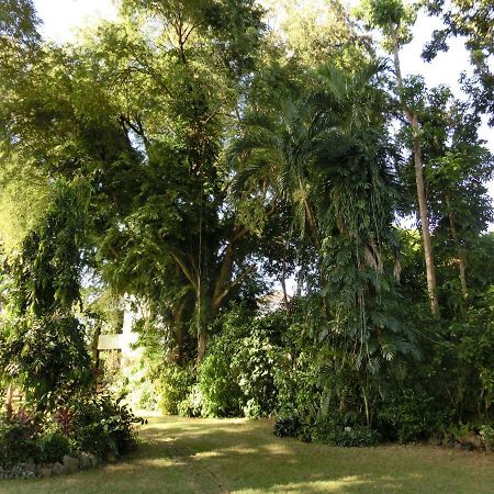 Balay Tuko Garden Inn Puerto Princesa Exterior photo