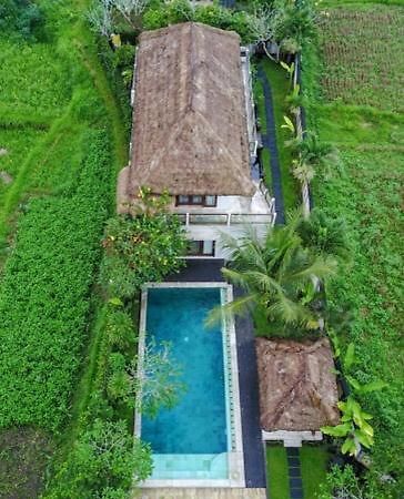 Villa Damee Ubud  Exterior photo