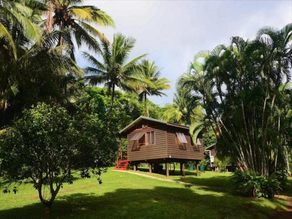 Daintree Rainforest Bungalows Villa Cow Bay Exterior photo