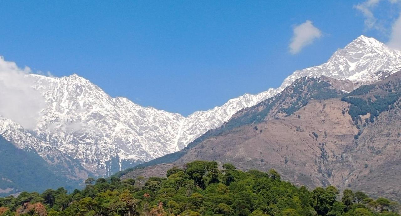 Hotel Vatika - The Riverside Resort Dharamshala Exterior photo