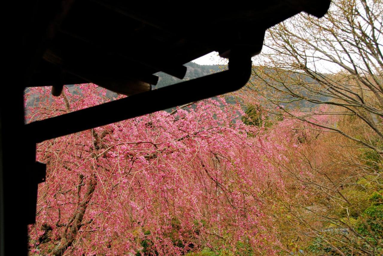 Hakone Kowakien Mikawaya Ryokan Exterior photo