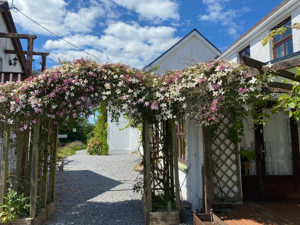 Jabajak Vineyard Restaurant & Rooms Whitland Exterior photo