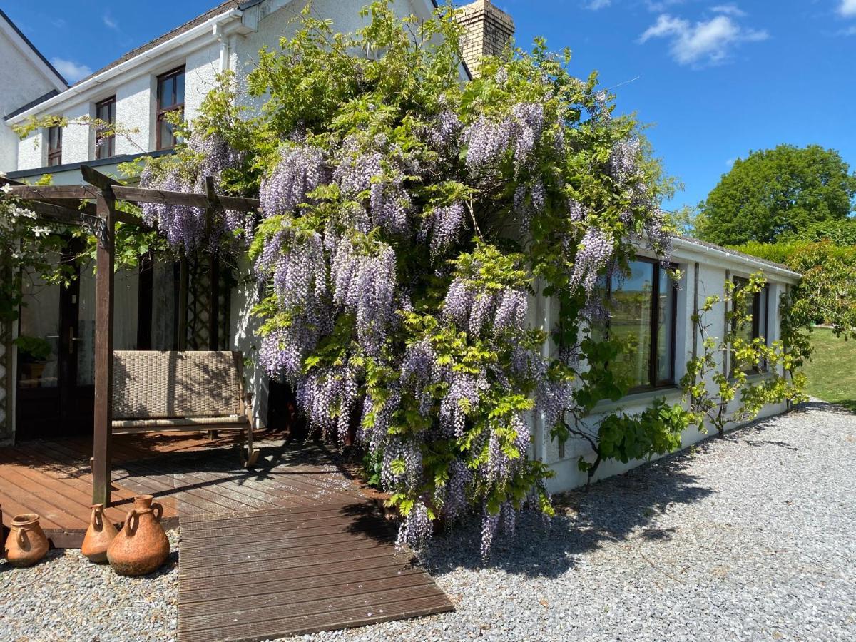 Jabajak Vineyard Restaurant & Rooms Whitland Exterior photo