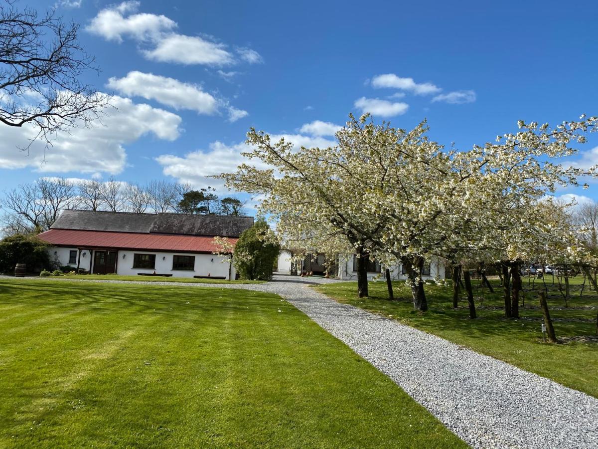 Jabajak Vineyard Restaurant & Rooms Whitland Exterior photo