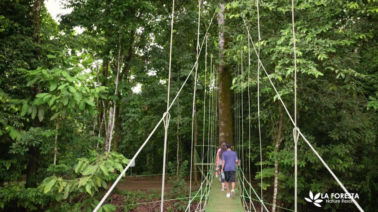 La Foresta Nature Resort Quepos Exterior photo