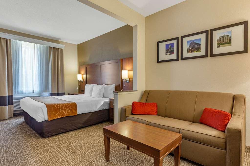 Comfort Suites Raleigh Walnut Creek Room photo