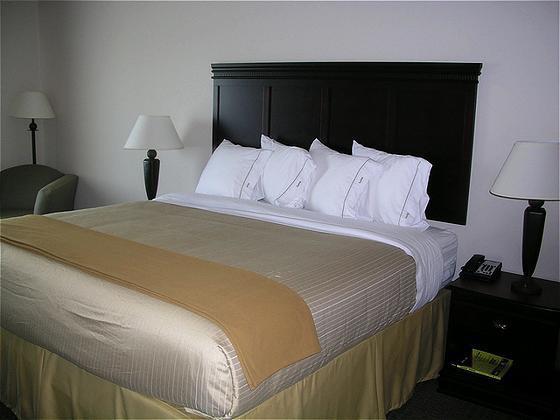 Holiday Inn Express Hotel & Suites Sherman Highway 75, An Ihg Hotel Room photo