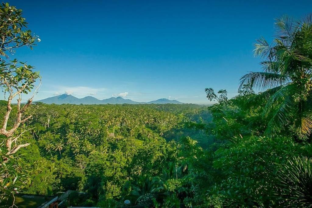 Sayan Terrace Resort Ubud  Exterior photo