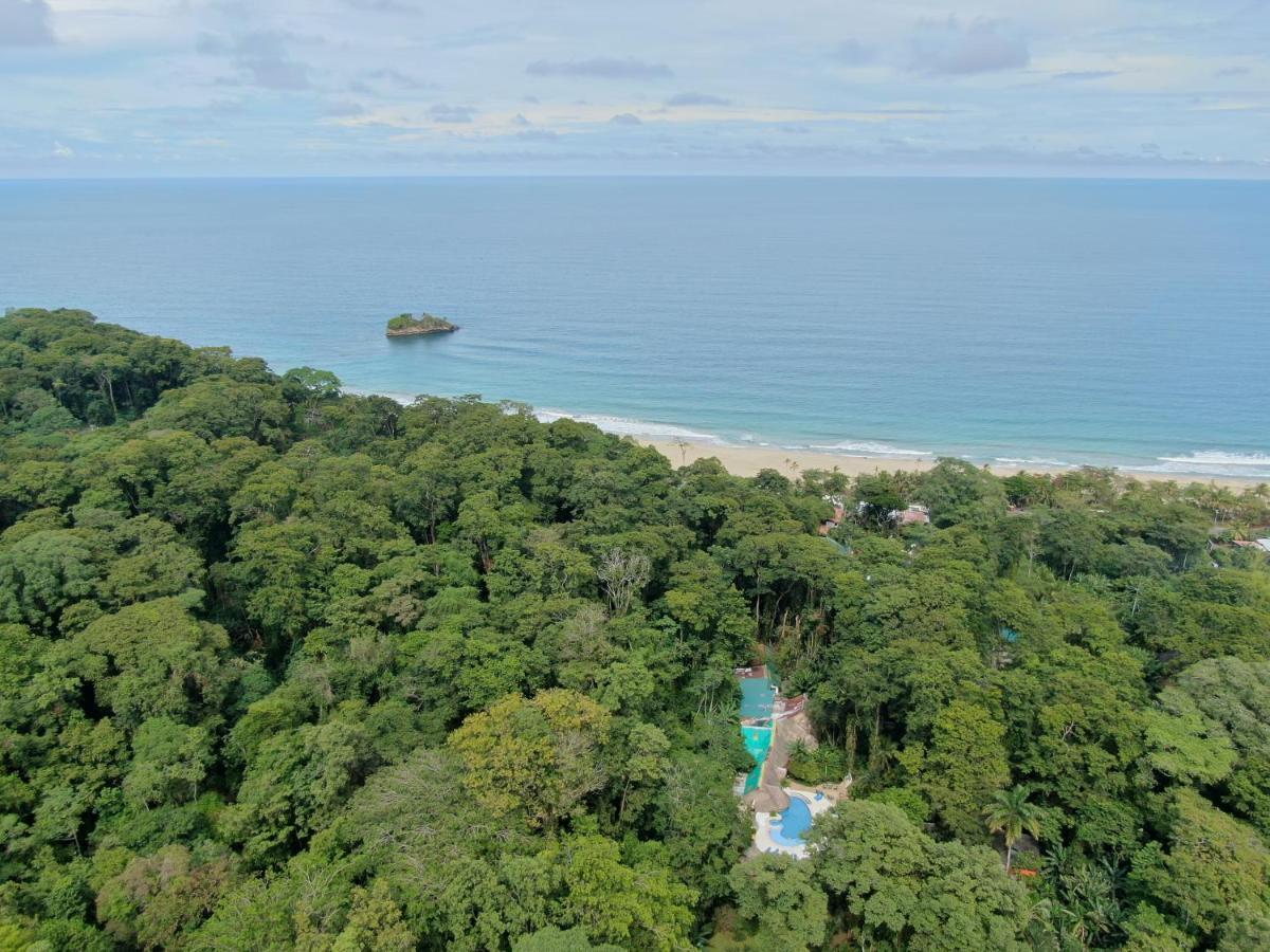 Cariblue Beach And Jungle Resort Puerto Viejo de Talamanca Exterior photo