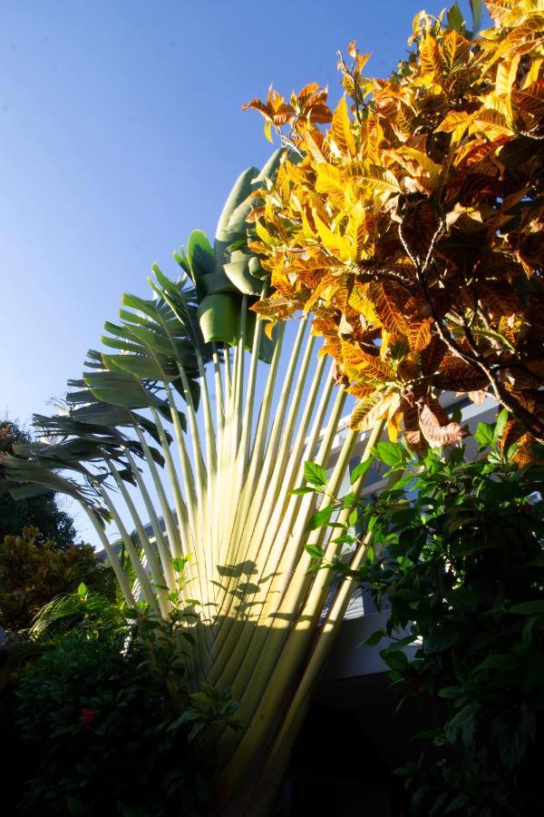 Casa Valeria Boutique Hotel Sosua Exterior photo