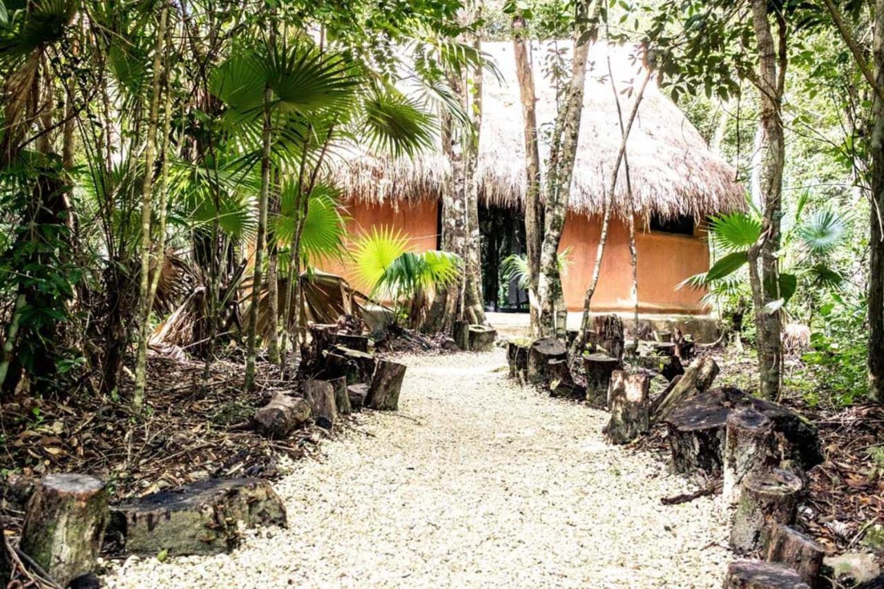 Jolie Jungle Eco Hotel (Adults Only) Leona Vicario Exterior photo