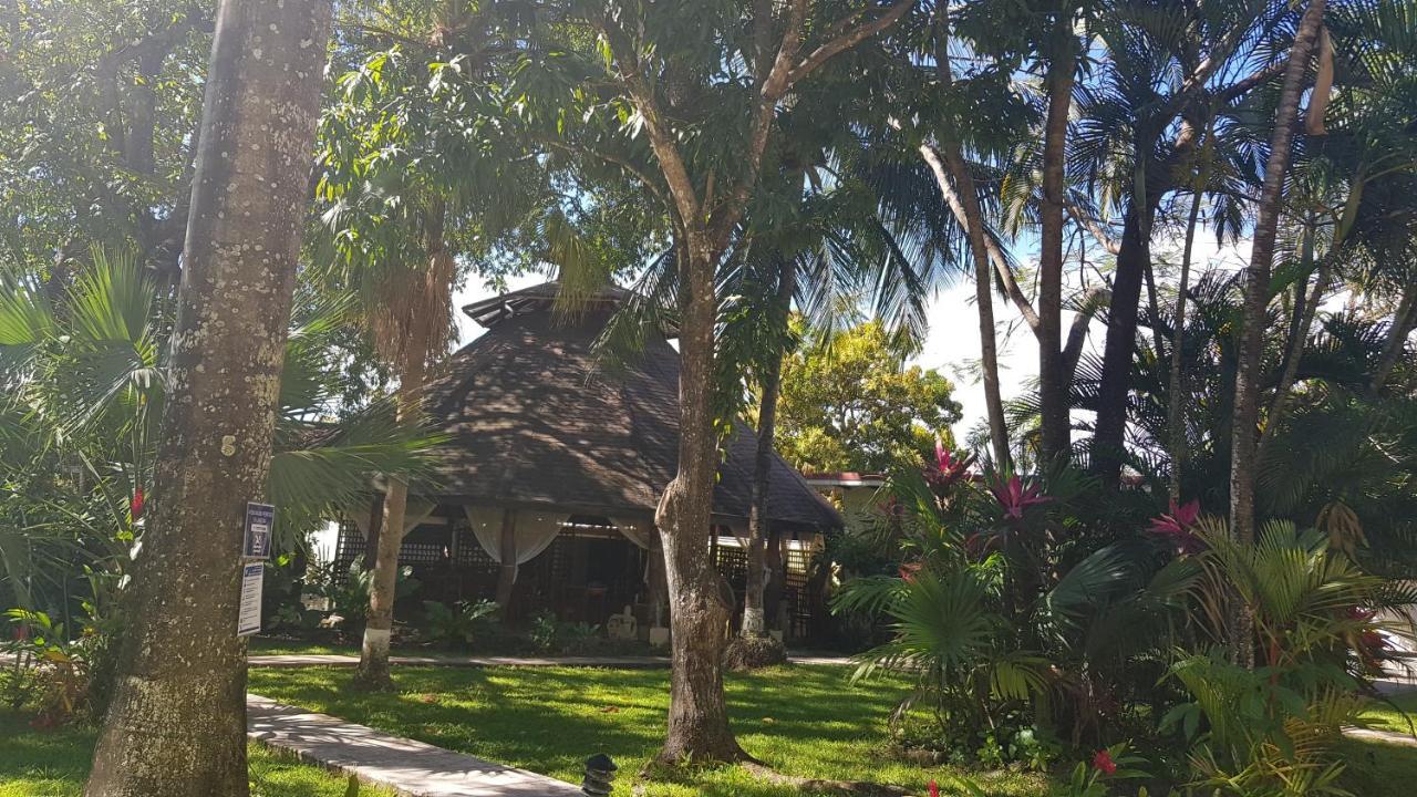 Samara Beach Hotel Exterior photo