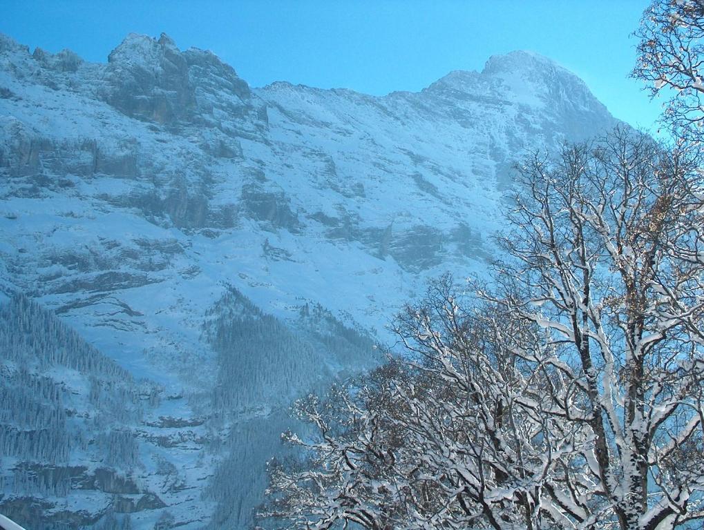 Hotel Gletschergarten Grindelwald Exterior photo