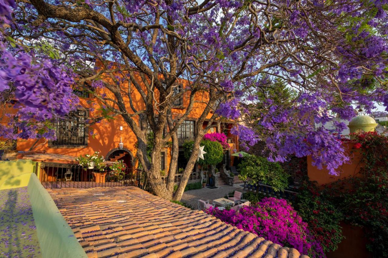 Casa Schuck Boutique Hotel San Miguel de Allende Exterior photo