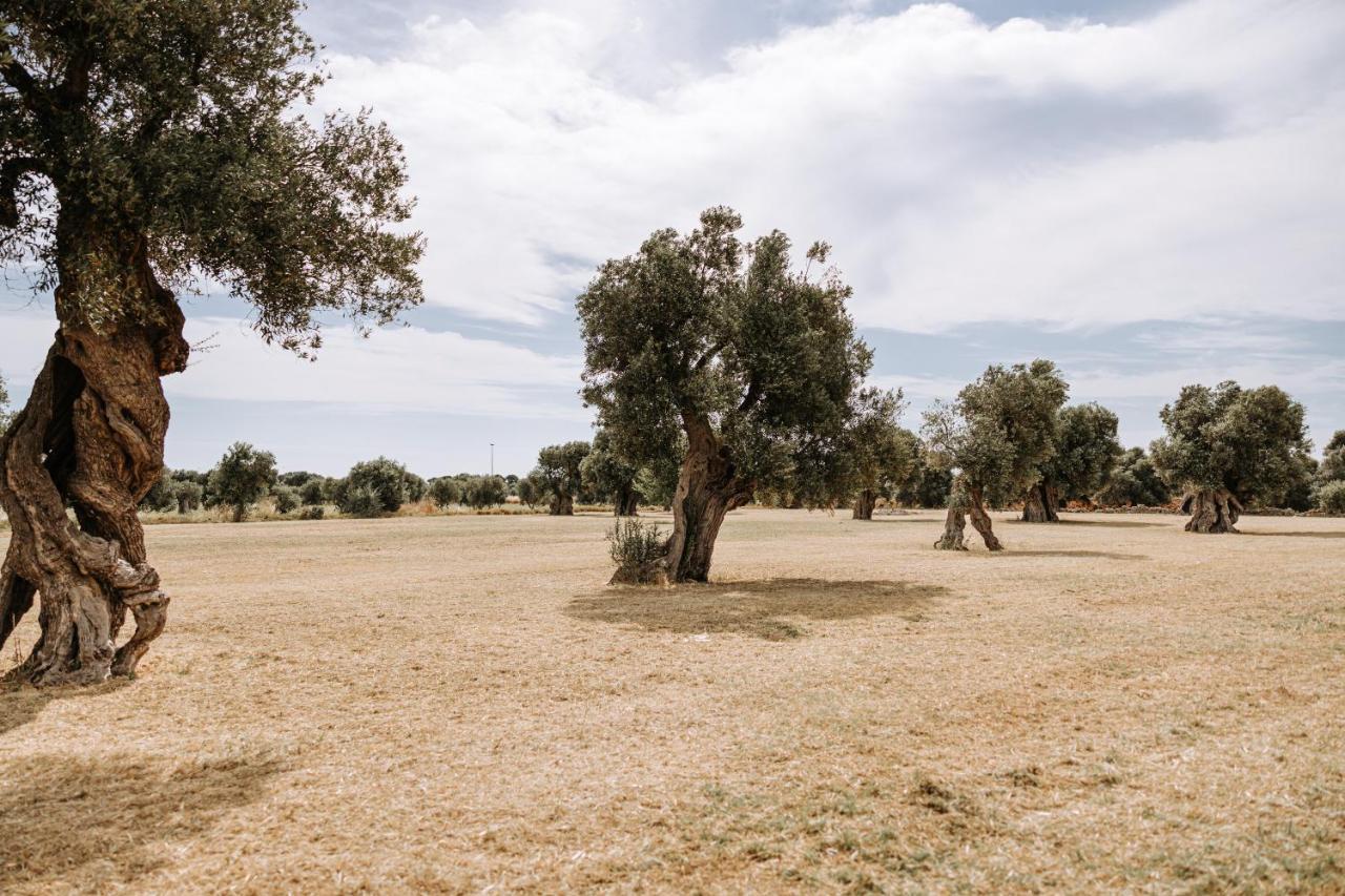 Masseria Garrappa Fasano Exterior photo