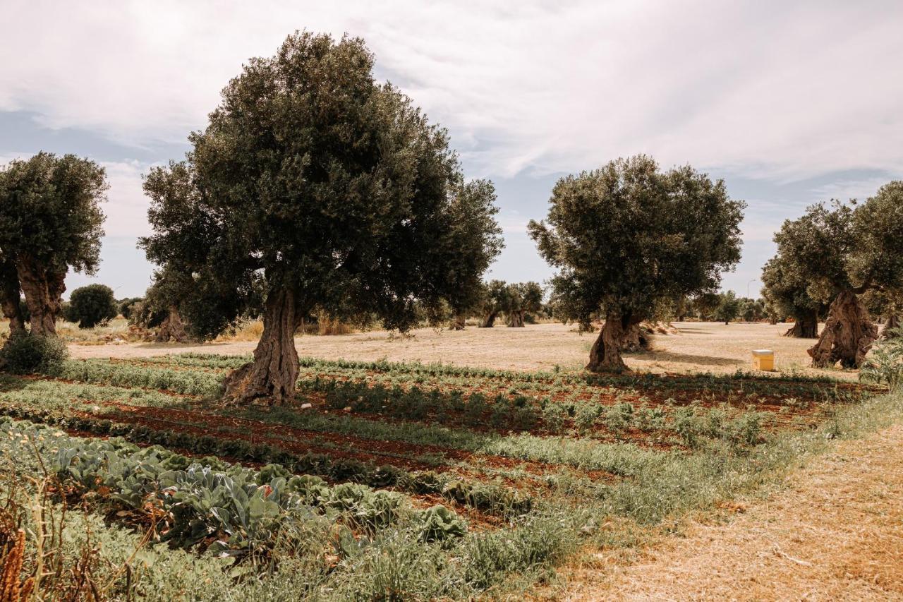 Masseria Garrappa Fasano Exterior photo