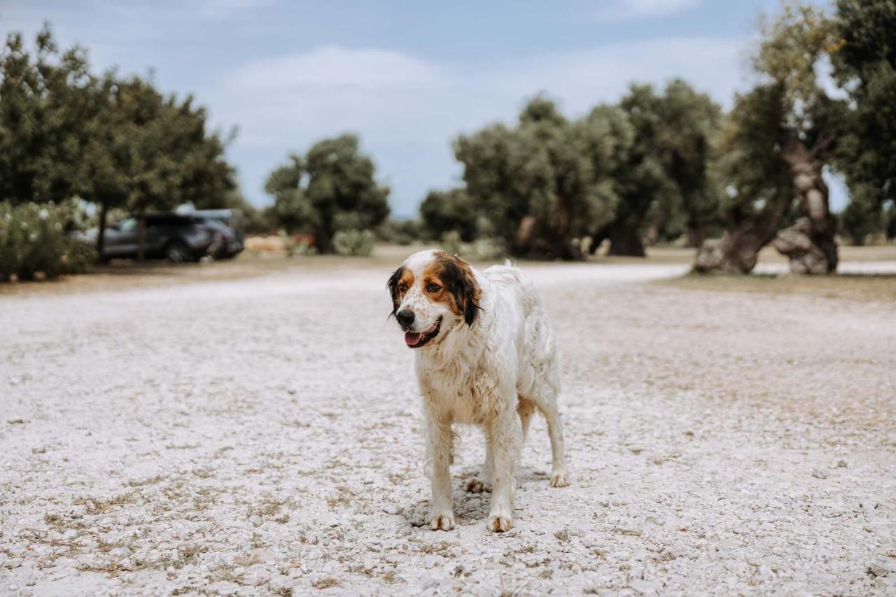 Masseria Garrappa Fasano Exterior photo