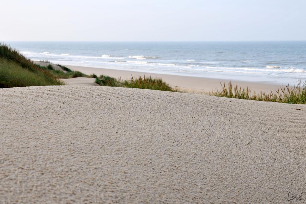 Strandhotel De Vassy Egmond aan Zee Exterior photo