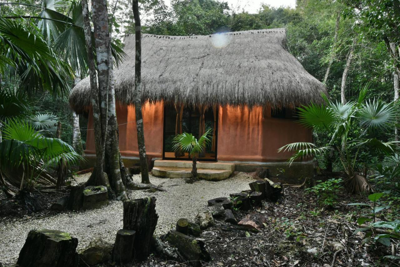 Jolie Jungle Eco Hotel (Adults Only) Leona Vicario Exterior photo