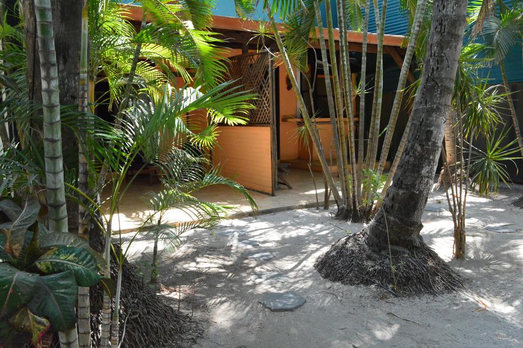 La Palapa Guest House Tamarindo Exterior photo