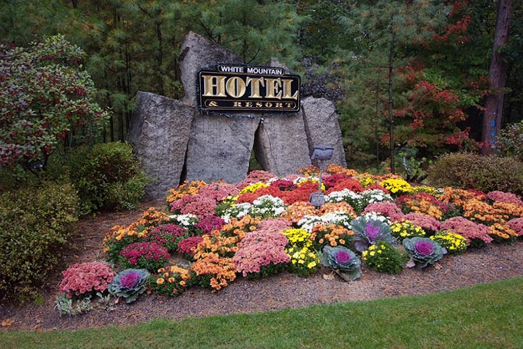 White Mountain Hotel And Resort North Conway Exterior photo