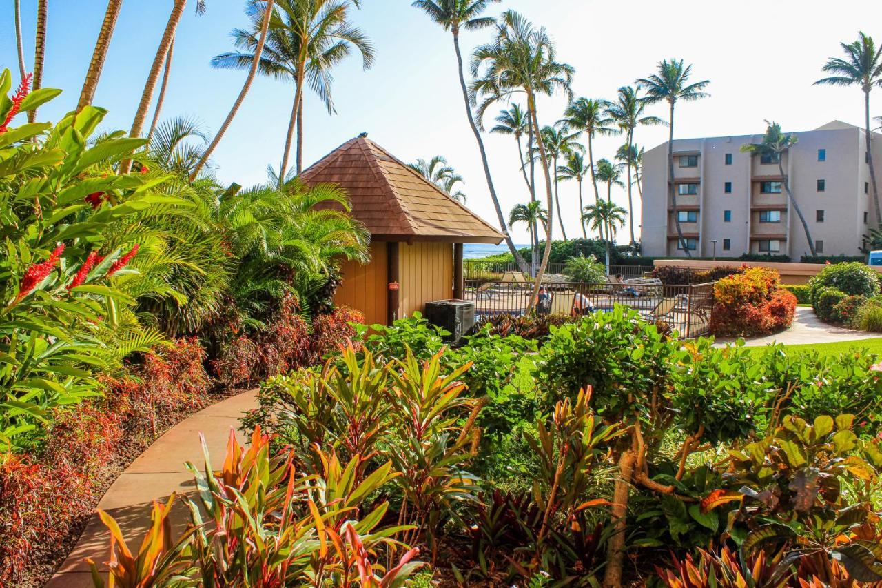 Island Sands Resort Maalaea Room photo