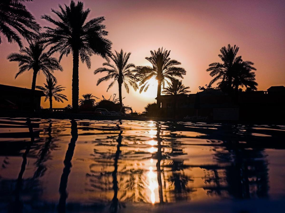 Flamingo Beach Hotel Umm al-Quwain Exterior photo