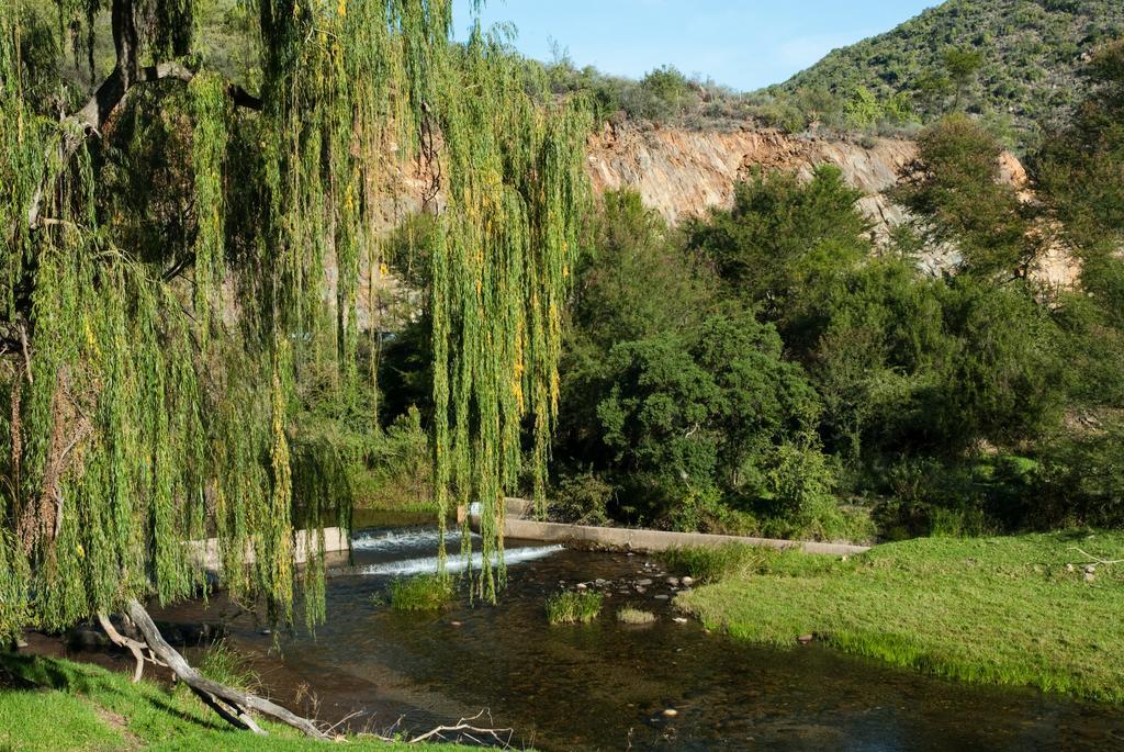 Old Mill Lodge, Seasonal Working Ostrich Farm & Restaurant, Oudtshoorn Exterior photo