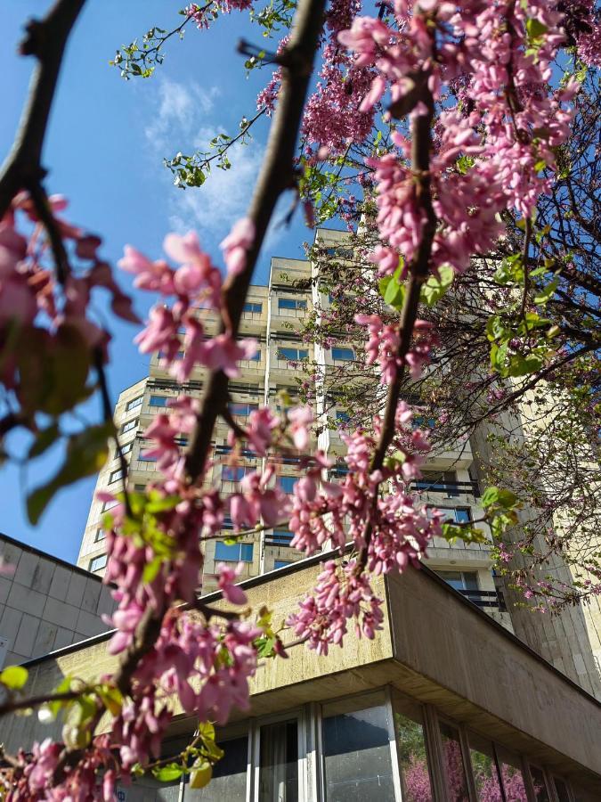 Rovno Hotel Vidin Exterior photo