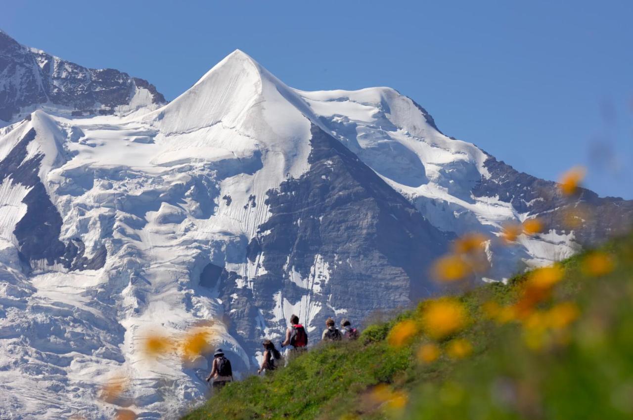 Arenas Resort Victoria-Lauberhorn Wengen Exterior photo