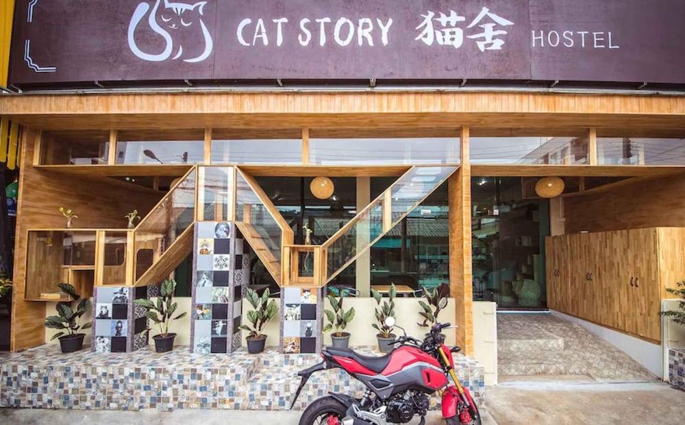 Cat Story Hotel Patong Exterior photo