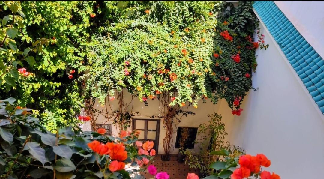 Bougainvillea Riad Marrakesh Exterior photo