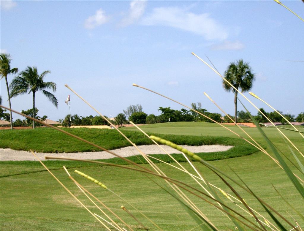 Miami Lakes Hotel Facilities photo