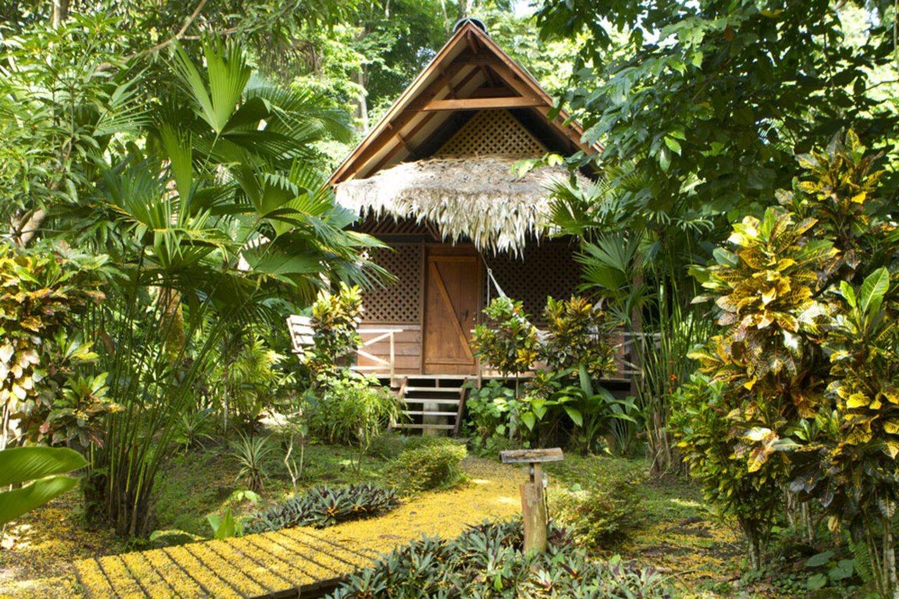 Azania Bungalows Puerto Viejo de Talamanca Exterior photo