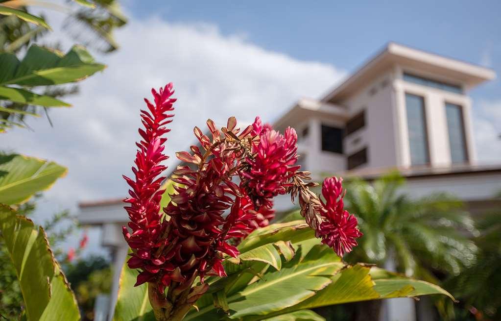 Maui Coast Hotel Kihei Amenities photo