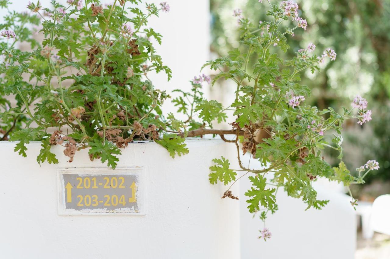 Costa Sariyaz Hotel Bodrum Exterior photo