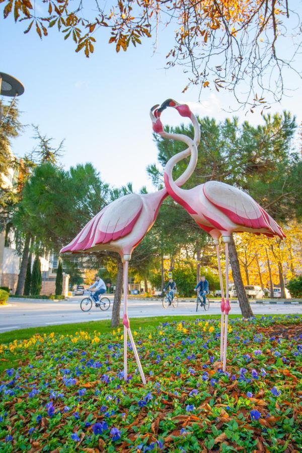 Flamingo Grand Hotel & Spa Albena Exterior photo