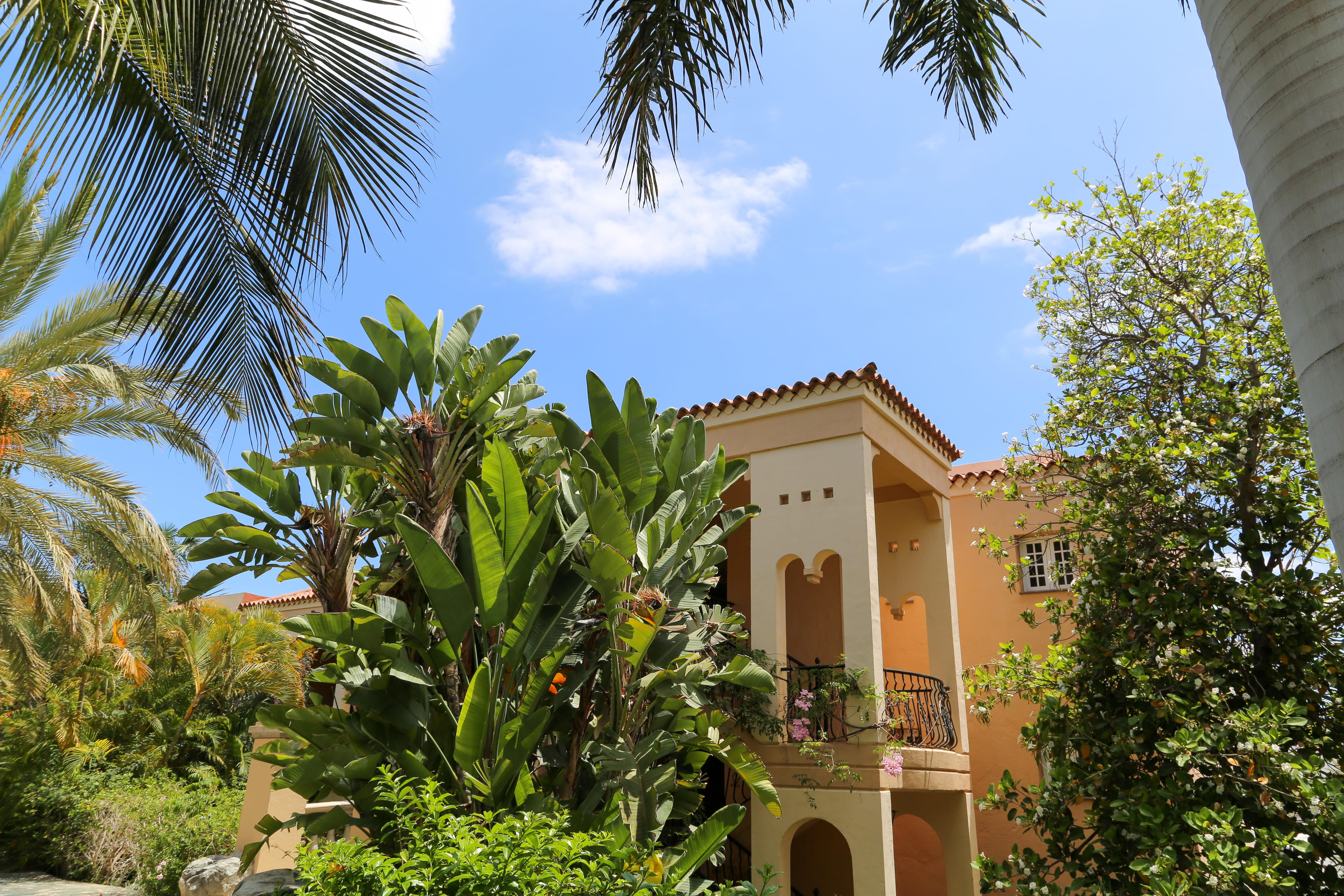 Palm Oasis Maspalomas Maspalomas  Exterior photo