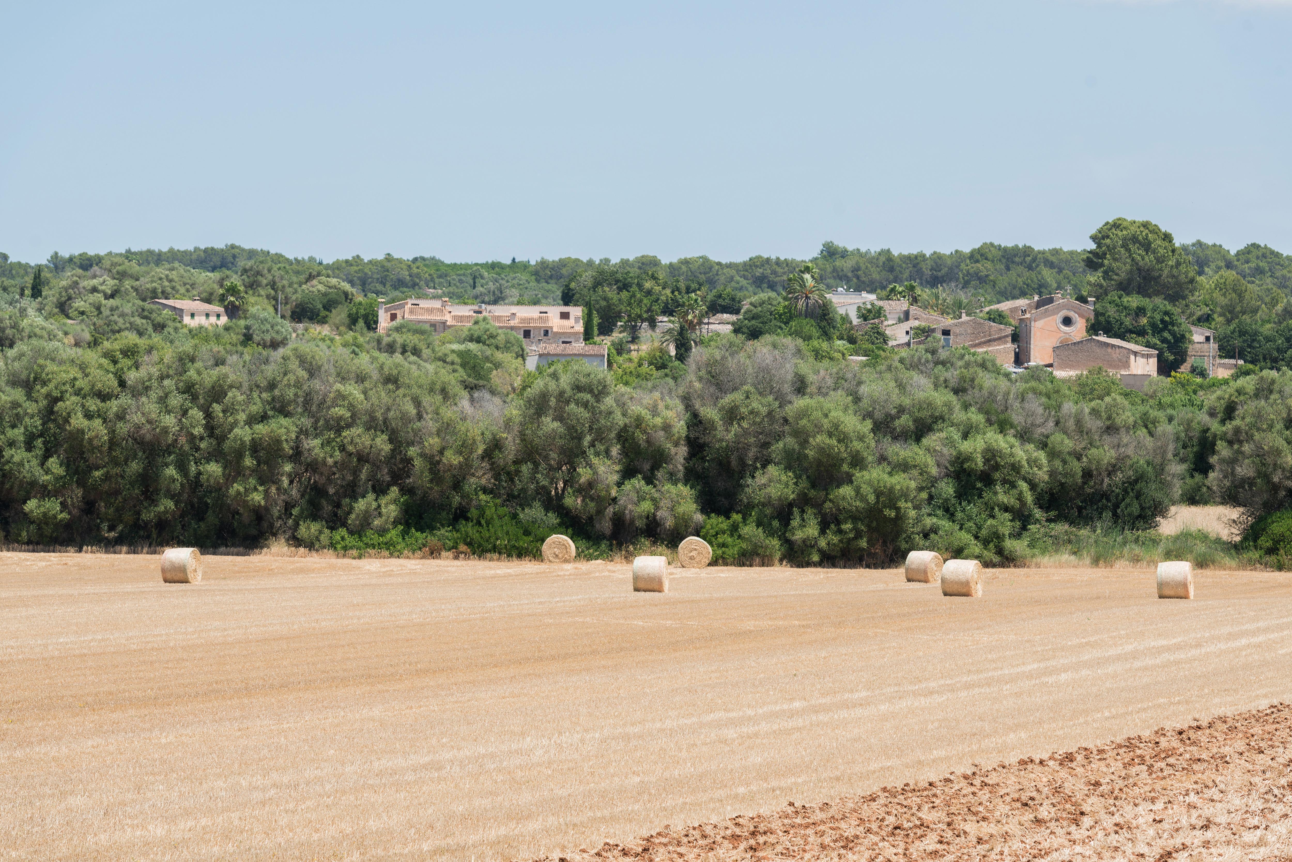 Petit Hotel Rural Son Jorda Sencelles Exterior photo