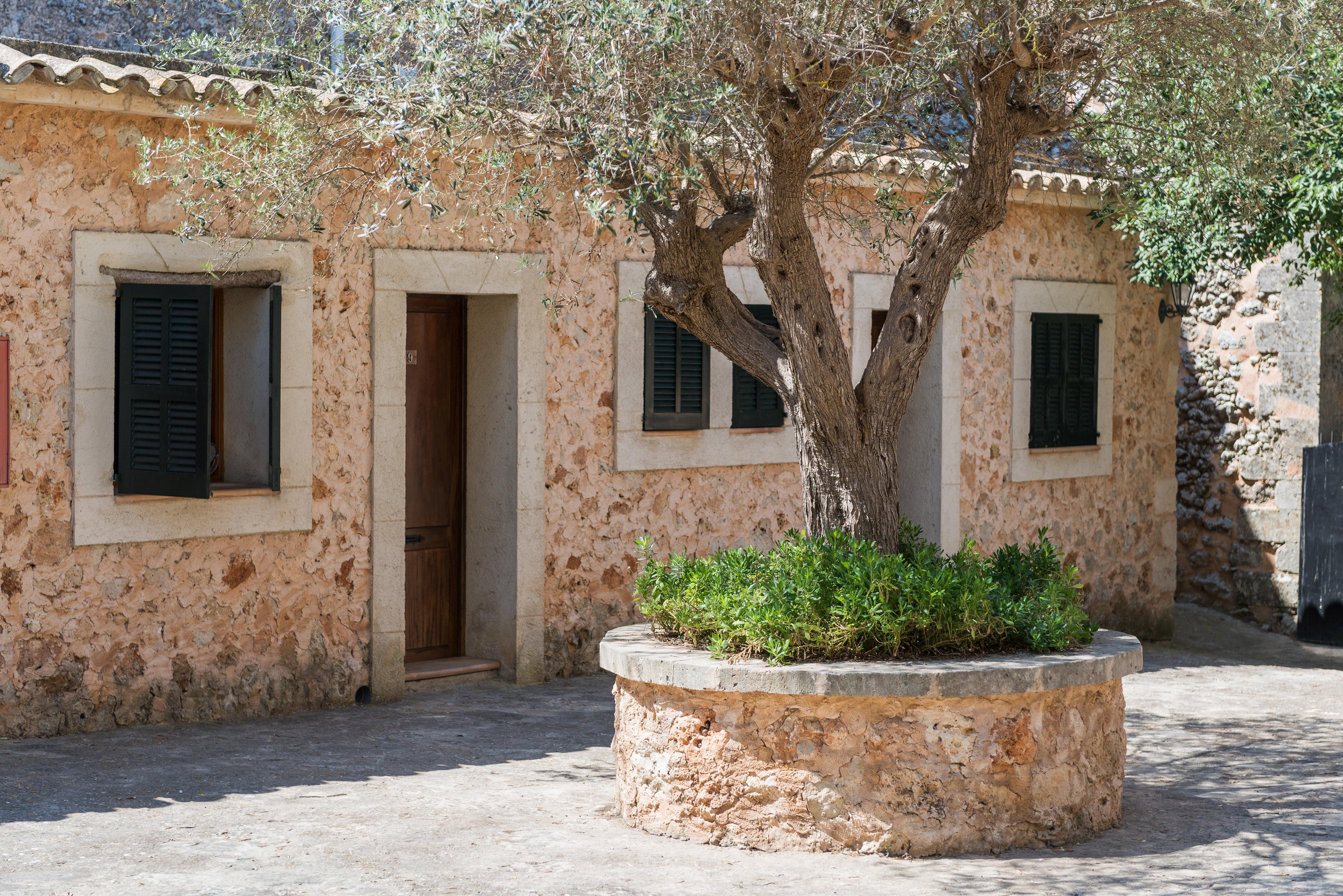 Petit Hotel Rural Son Jorda Sencelles Exterior photo