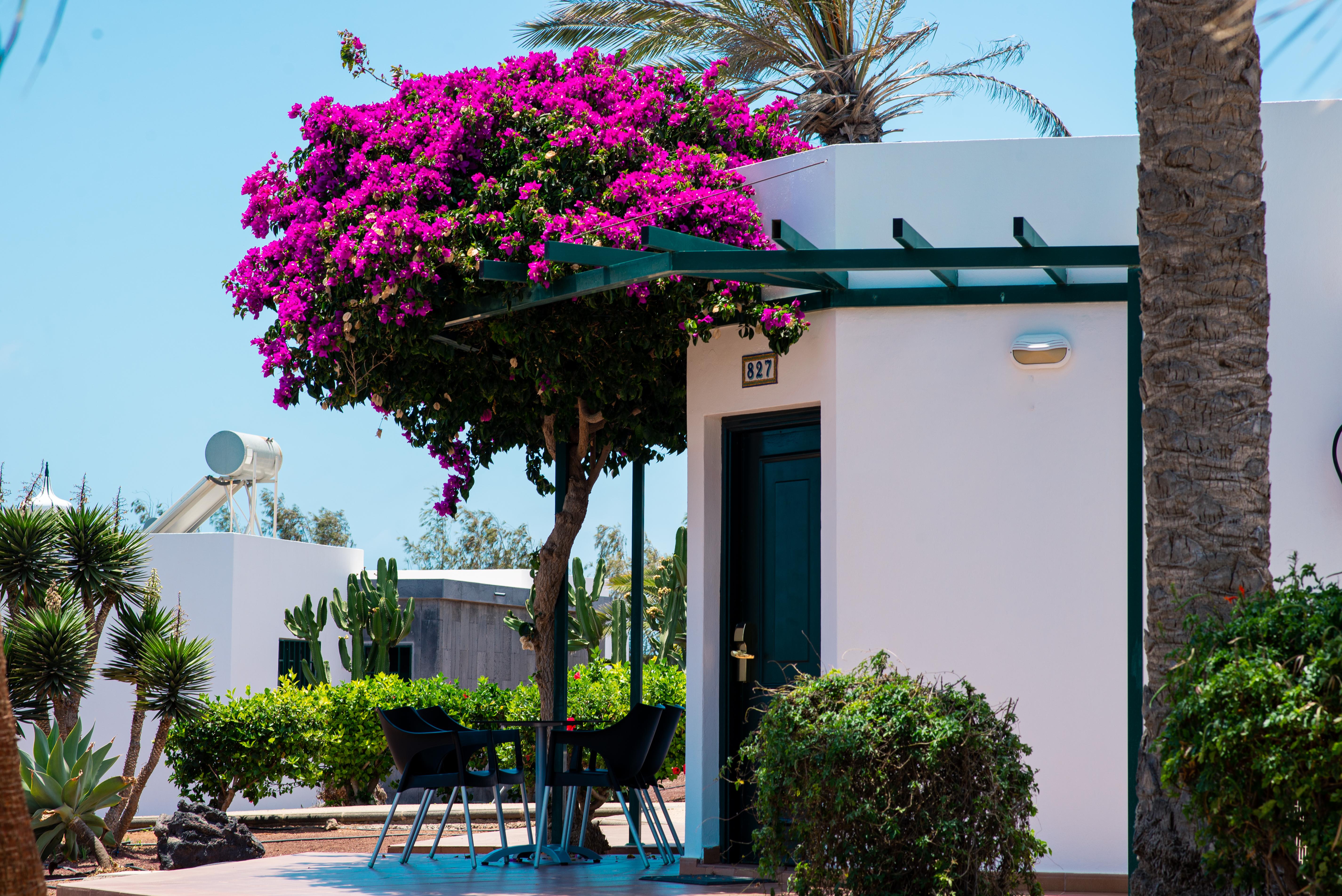 Hl Club Playa Blanca Hotel Playa Blanca  Exterior photo