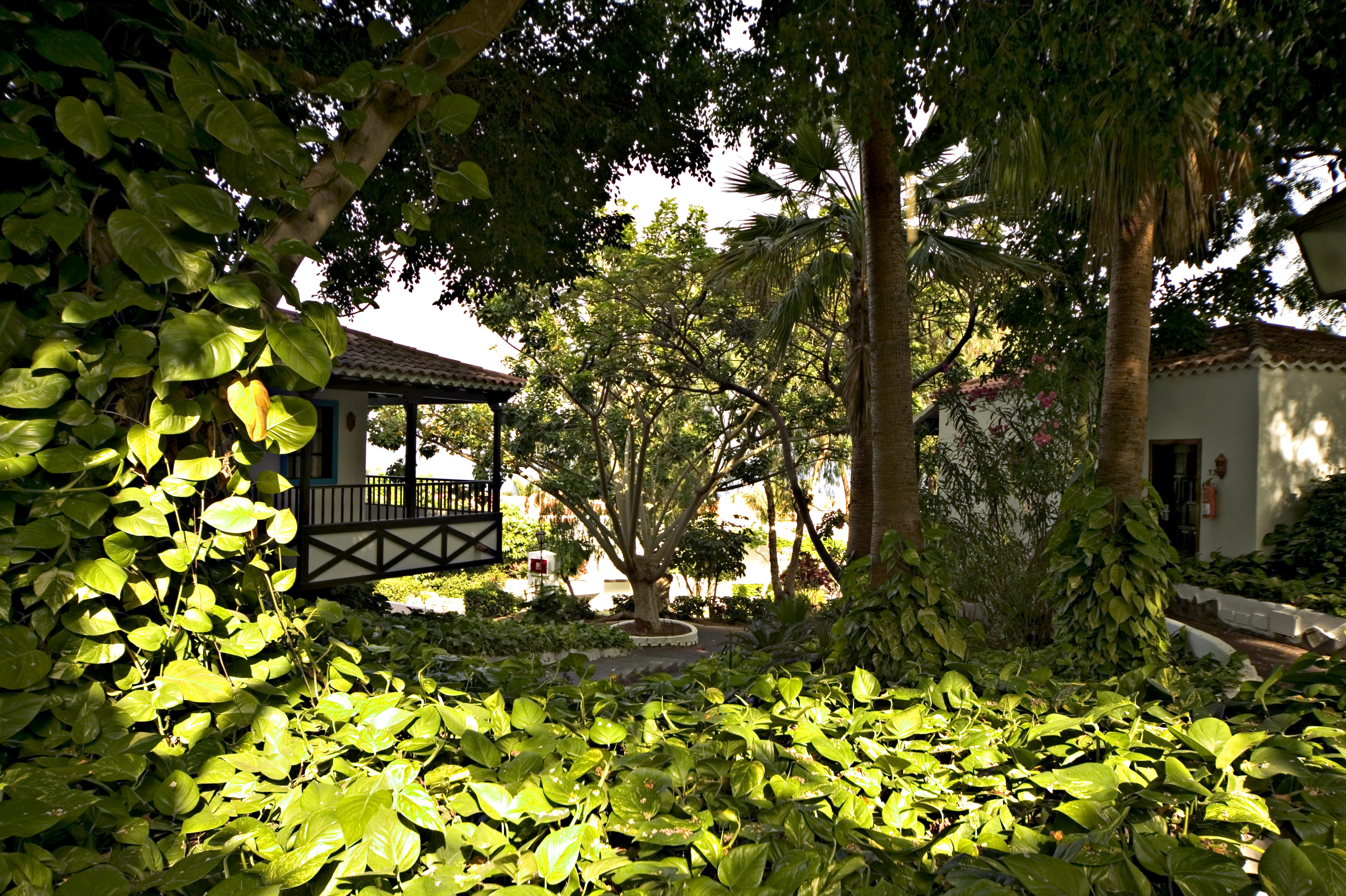 Hotel Jardin Tecina Playa de Santiago  Exterior photo
