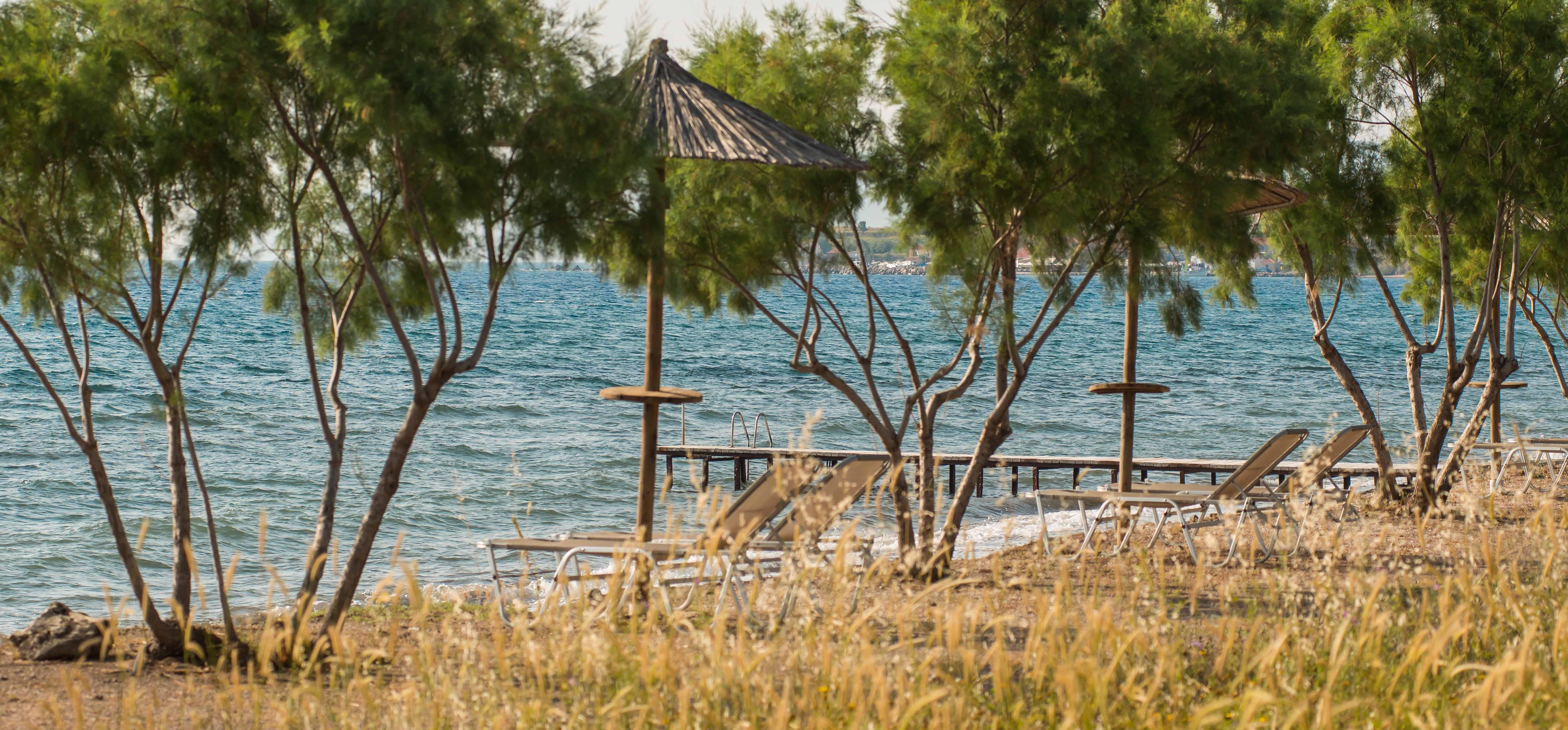 Delfinia Hotel & Bungalows Mithymna Exterior photo