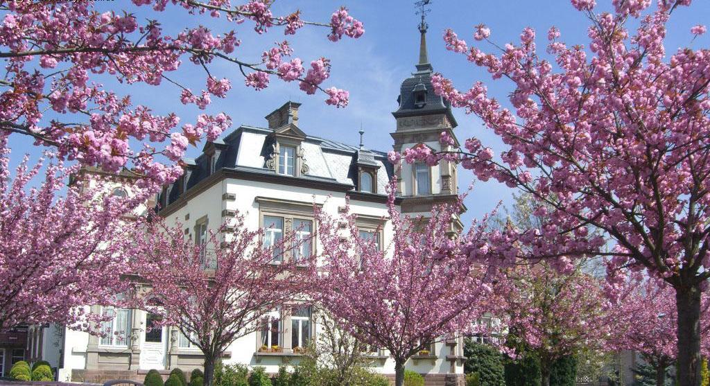 Hotel Chateau De L'Ile Ostwald Exterior photo