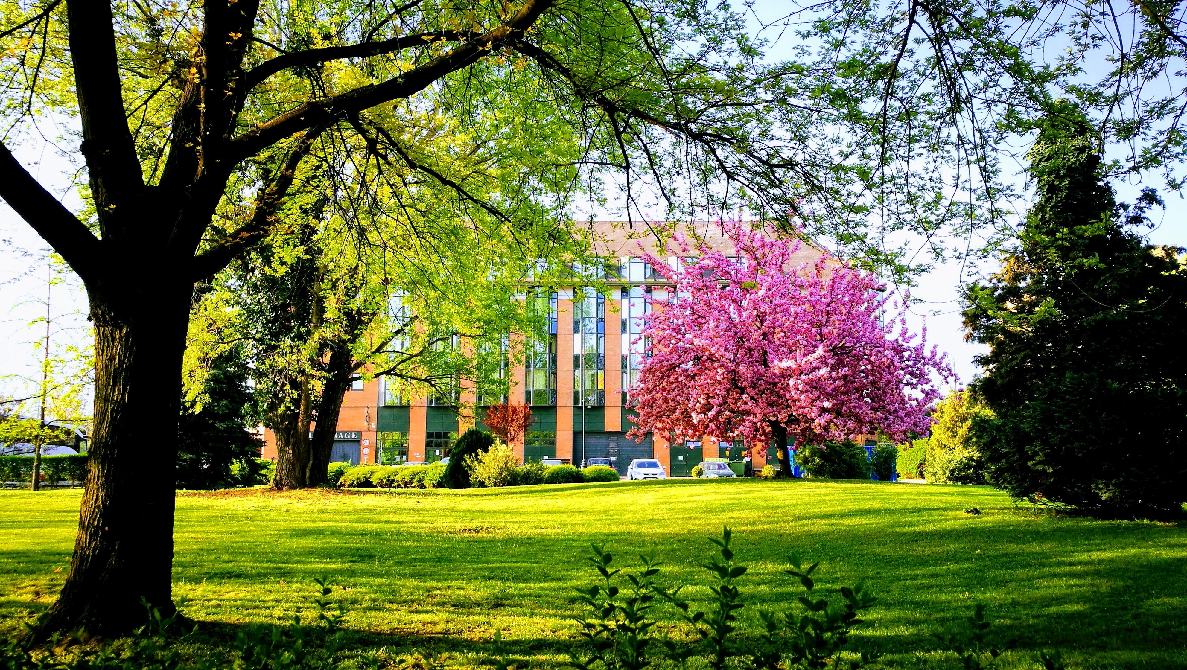 The Aquincum Hotel Budapest Exterior photo