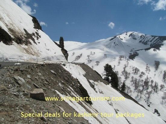 Comfy Royal Dandoo Palace - House Boat Srinagar  Exterior photo