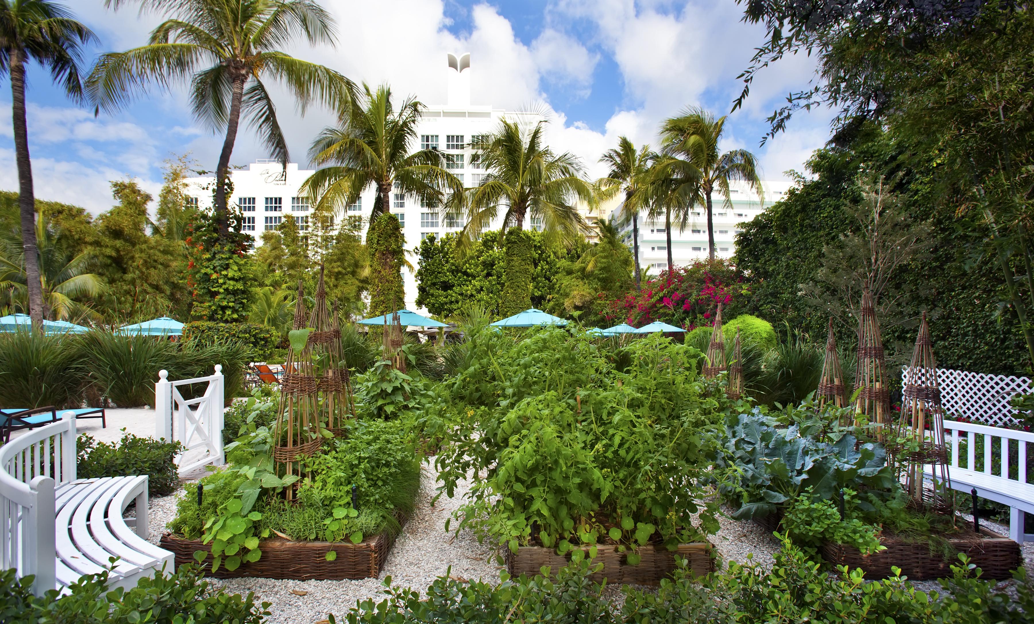 The Palms Hotel & Spa Miami Beach Exterior photo